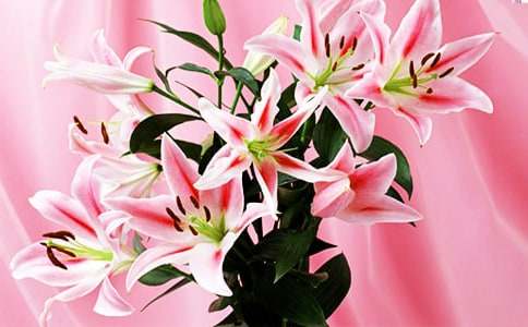 �۲�ٺϻ�����