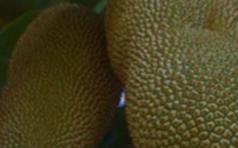 ��������ֳ��������ܲ�����