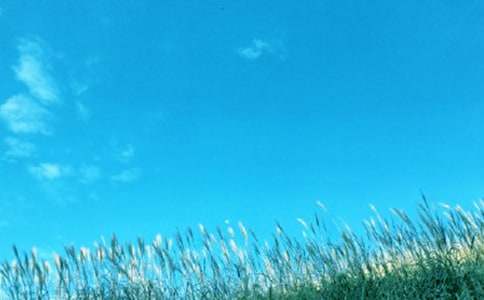 2017�ꡰ�����ж����֪ͨ