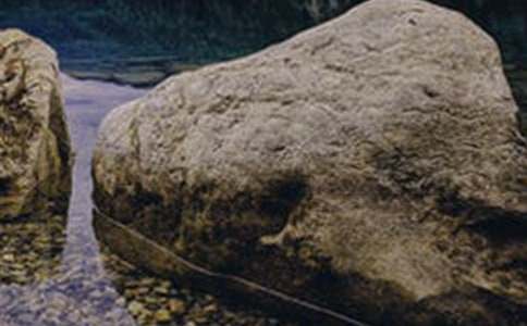 《突兀的大石头》教学设计(第2课时)