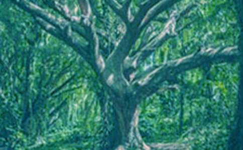 ������������600�֡�ѡ�ǡ�