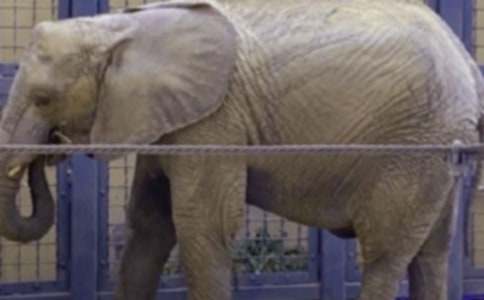 ��д����ĺþ�ö�