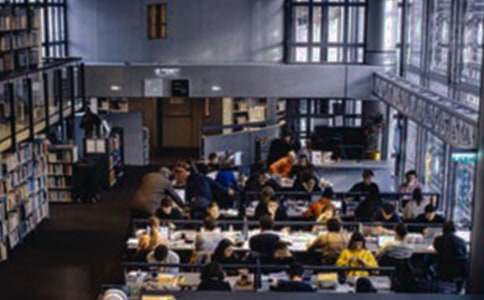 大学生村官工作调研报告