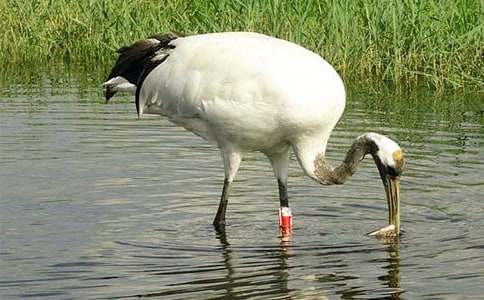 �������ĵ����ס�����ԭ����ѧ���