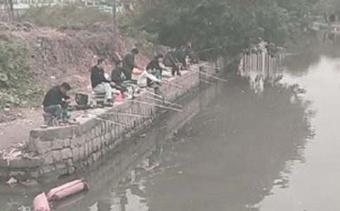 七年级关于钓鱼作文