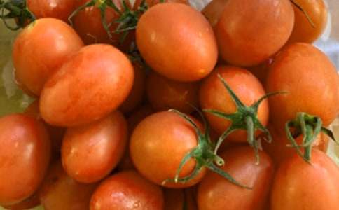 苏教版八册《“番茄太阳”》教案设计