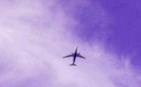 ����ֽ�ɻ�������