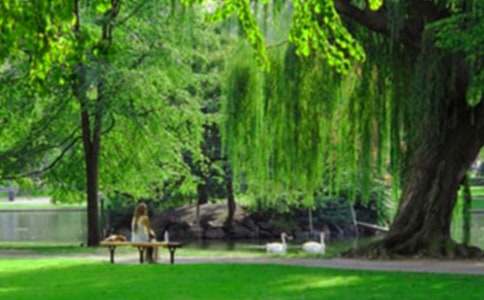 六年级暑假日记:游九江公园