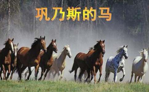 �������ġ�����˹�������̰�