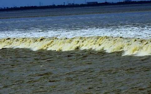 ���꼶���۳������½�ѧ���