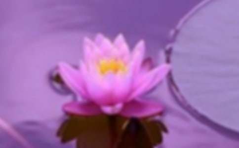 以和谐为题的作文600字