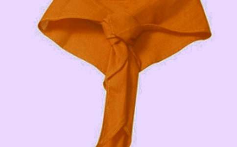 小学生红领巾心向党手抄报