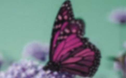 ��д��������������