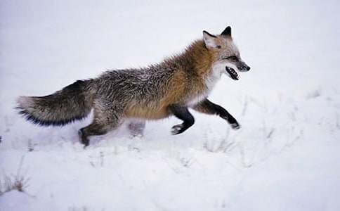 ���꼶�˲���ĺ���ְֶ���е��ֳ���