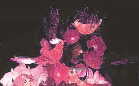 2017年看花灯作文500字