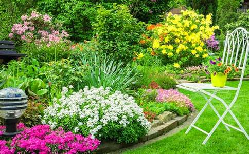 ���̰����꼶�²ᡶ11�����˵Ļ�԰������ʽ�̰�