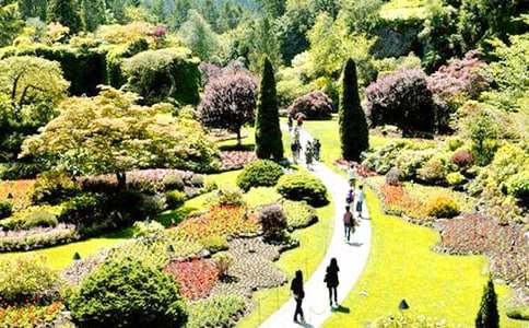 ���˵Ļ�԰�ֳ���ͼƬ