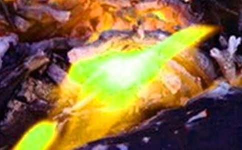 Ԥ�������ֳ�������ͼƬ