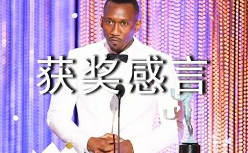 2017优秀部门获奖感言发言稿