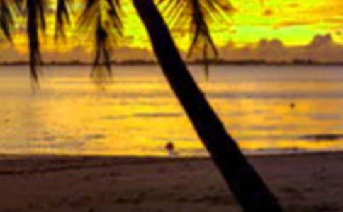 优秀范文:小学生五一假期作文300字