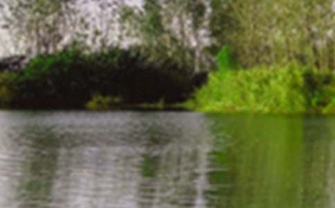 窗外的景色六年级优秀作文