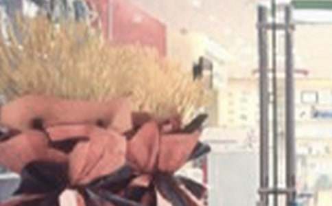 2016公司开业祝福语