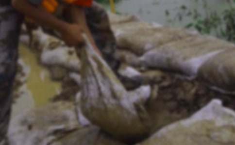 2016����ڿ������ձ���