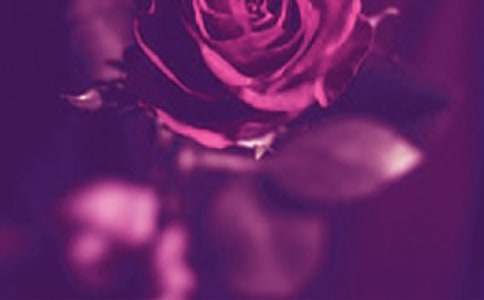 ��ЩΨ�������������¼