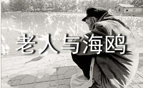 六年级上册《老人与海鸥》课后练习