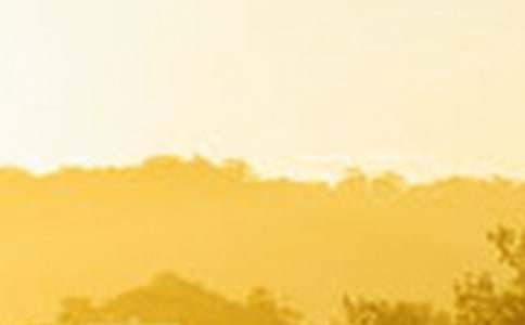 《黎明》教学设计(三年级)