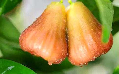 �߶���ѧ���Ķ����������