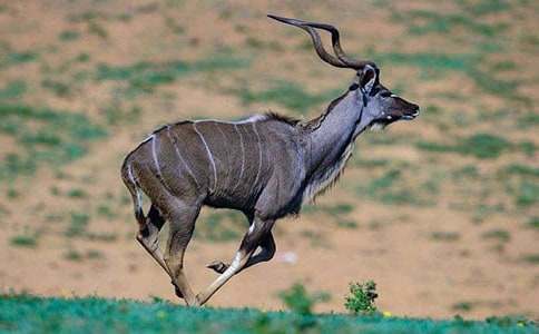  ��ʦ�����¡�˭��С����ȥ�����ѧ���