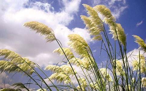 ��11�Ρ������«έ����ѧ��ƣ��̿ư����ϣ�