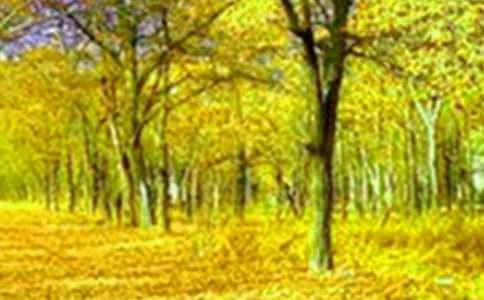 ��ѡ���е�������������500��