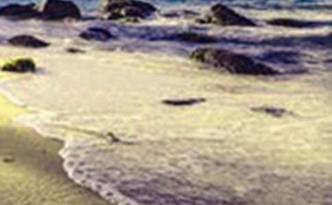 描写深秋胡杨林美景的好句子