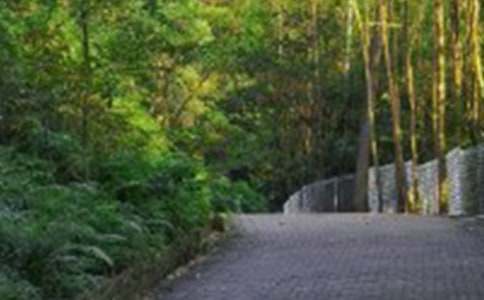 �˽̰����꼶�ϲᡶ��ɽ���Ľš�����ԭ��