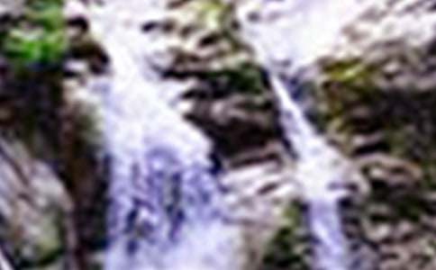 宗璞《紫藤萝瀑布》原文