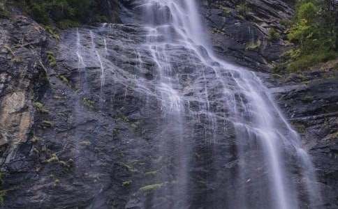 河大版八年级上册《紫藤萝瀑布》教案