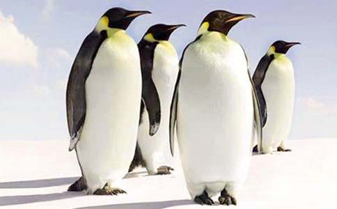 �ֳ�����ʻ���ͼ������ʻ�����