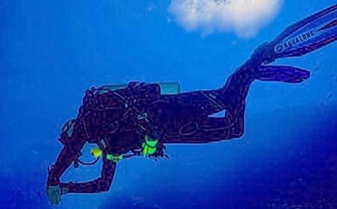 关于潜水的作文