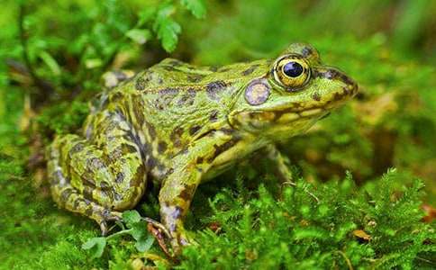 ���̰����꼶�ϲ�18�Ρ����ܺ��ߡ���ѧ���