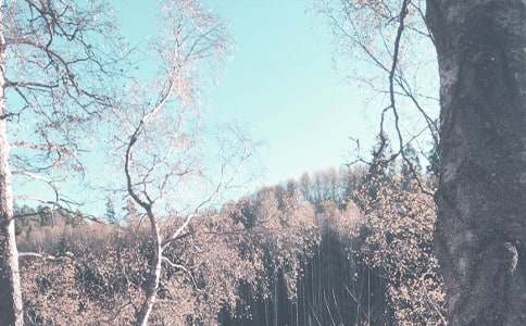 预防秋季传染病手抄报资料