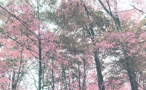 小学生预防秋季传染病手抄报简单又漂亮