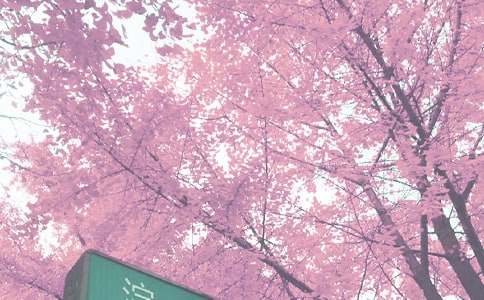 �＾Ԥ���Ǹ��Ⱥڰ屨����