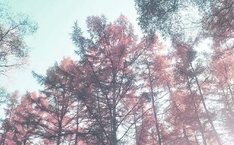 2016��Сѧ�＾ѧ�ڽ�ѧ�����ƻ�