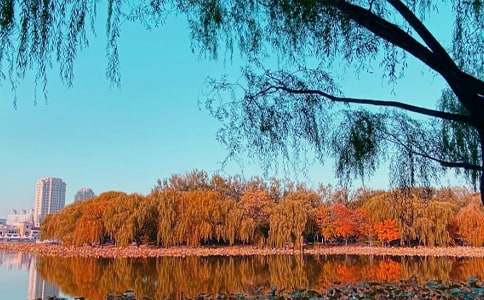 三年级作文:秋日趣事(200—300字)