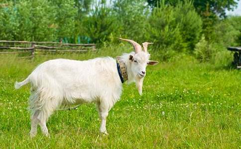 ɽ�򲻳����òݺôʺþ�ժ¼