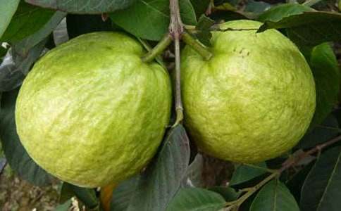 �ս̰���꼶�²ᡶ3��ʯ�񡷿���