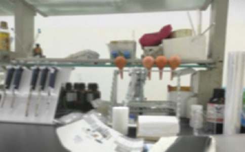 2017��Сѧ��ѧ�ڿ�ѧʵ���ҹ����ƻ�