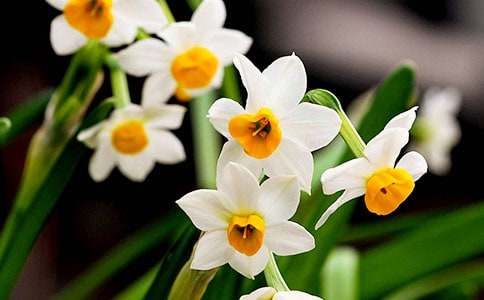 дˮ�ɻ�������ɢ��